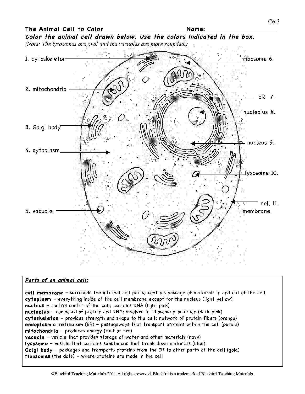 printable blank diagram animal cell