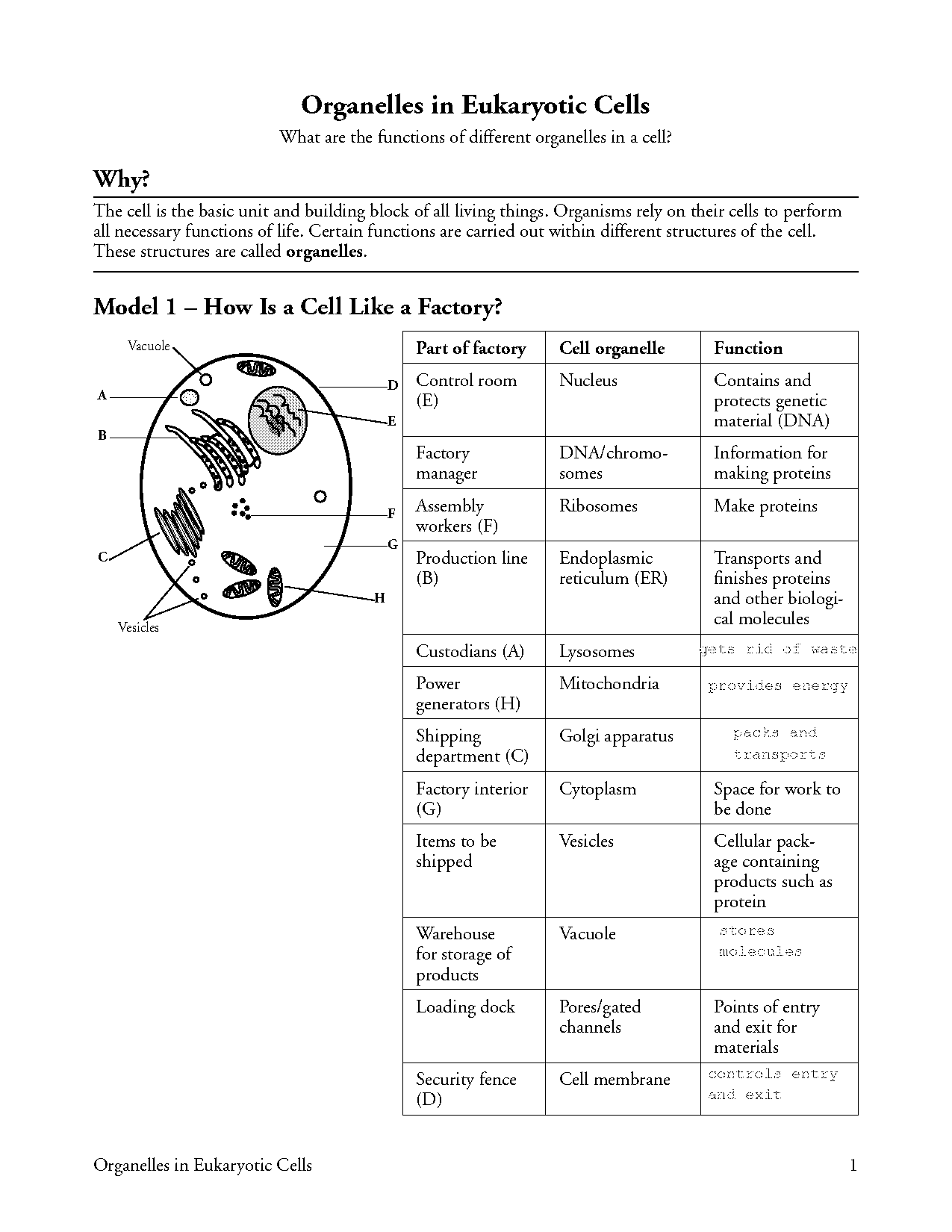 printable blank diagram animal cell